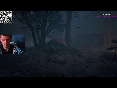 Видео: ДОСТИЖЕНИЯ В OUTLAST 2 МЕССИЯ