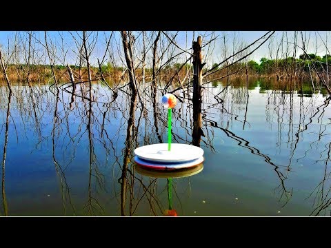 Видео: КАРП на КРУЖКИ в ЗАКОРЯЖЕННОМ ОЗЕРЕ