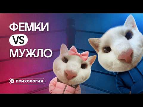Видео: Мужчины против женщин: как мы дошли до тотальной ненависти
