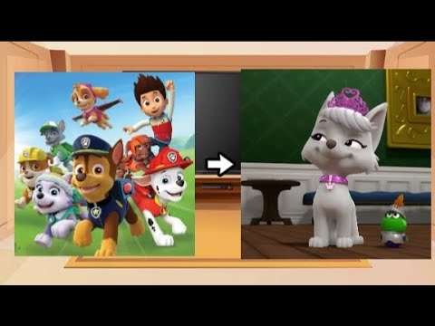 Видео: •꒳• реакция Щенячьего патруля на Свити?! ŏ⁠﹏⁠ŏ (+Ау Свити)