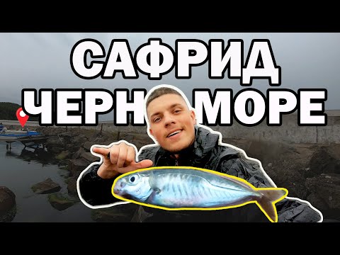 Видео: ПОРЕДЕН УСПЕШЕН РИБОЛОВ на САФРИД – ДЪЖД и МНОГО РИБА!