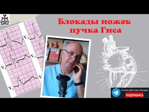 Видео: Блокады ножек пучка Гиса. Почему сердце хромает?