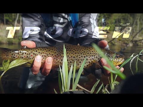 Видео: Трофей на Кастинг. Открытие сезона/ Сложная рыбалка в непогоду.
