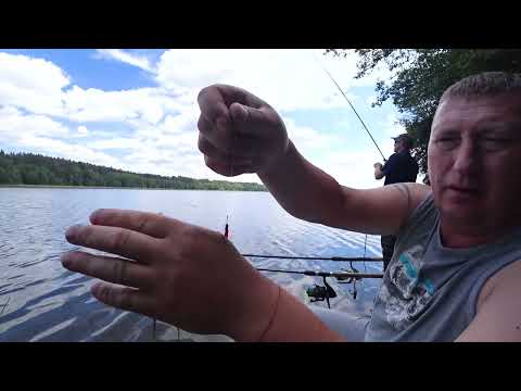 Видео: Фидерная Рыбалка с Ночёвкой на Озере Белое. Поймал Утку на Опарыша!