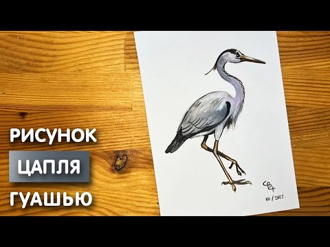 Видео: Как нарисовать цаплю карандашом и гуашью для детей | Рисунок поэтапно для срисовки