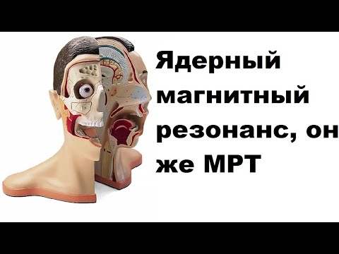Видео: Ядерный магнитный резонанс, он же МРТ