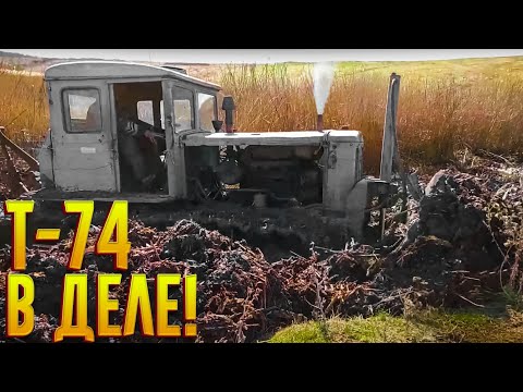 Видео: Старина Т-74 в деле. #Т-74 #ДТ-74  #ХТЗ