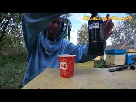 Видео: 20 сентября - Опять потери на пасеке, дым-пушка против клеща варроа.