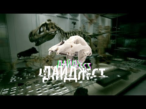 Видео: Моль Трампа, неандерталец-пенсионер, какого цвета динозавры? Игорь Фадеев #DARWINews 1