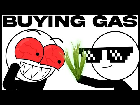 Видео: Первая покупка в розетке