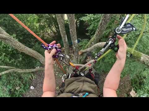 Видео: Акимбо против Троттла