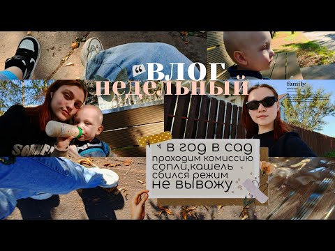 Видео: недельный влог в декрете | когда лучше отдавать в садик?