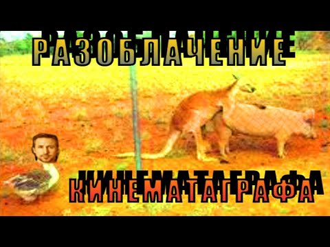 Видео: Фильмов не существует