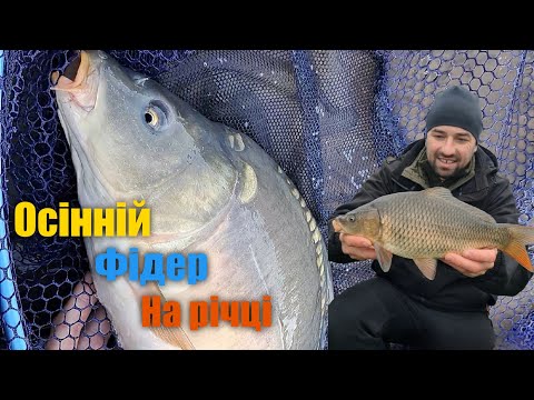 Видео: НЕСПОДІВАНИЙ КЛЬОВ В ОСІННЮ ПОГОДУ / Рибалка на Фідер у Листопаді з Опаришем і Кукурудзою /Частина 2