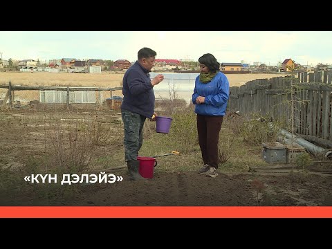 Видео: «Күн дэлэйэ» биэриигэ: хортуоппуйу сөпкө олордуох! (04.06.23)