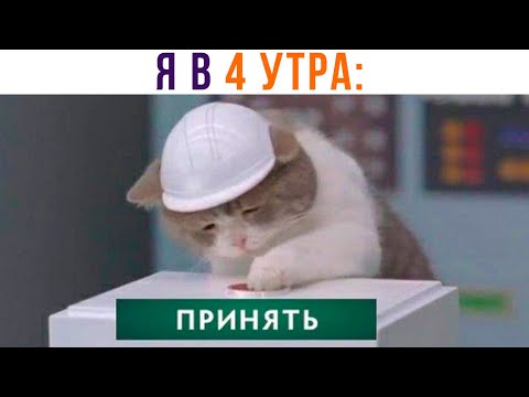 Видео: ПОСЛЕДНЯЯ КАТКА И СПАТЬ))) Игровые мемы | Мемозг 906