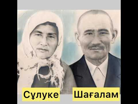 Видео: Ақтоғай ауданы, Чапай ауылы