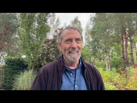 Видео: Как сажать растения в сложных почвах с большим количеством корней