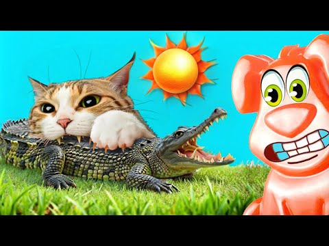 Видео: Котик откусил хвост крокодила. Желейный Стасик угощает животных вкусняшками.