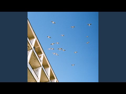 Видео: Маленький герой поневоле