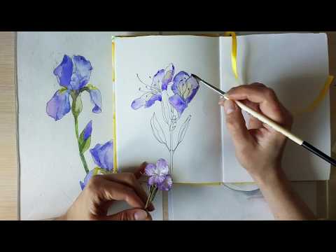 Видео: Мастер-класс #35 Скетч акварелью Багульник.