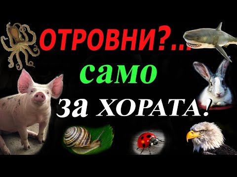 Видео: Цялата истина за месото/животните- професор У.Файт