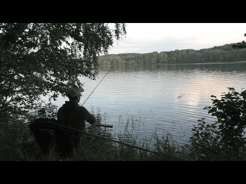 Видео: С фидером на озере в укромном месте! Красивые поклевки!