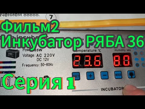 Видео: Фильм2 ПЕРВЫЙ ДЕНЬ инкубации в РЯБА 36, китайский инкубатор/ 16 апреля 2025