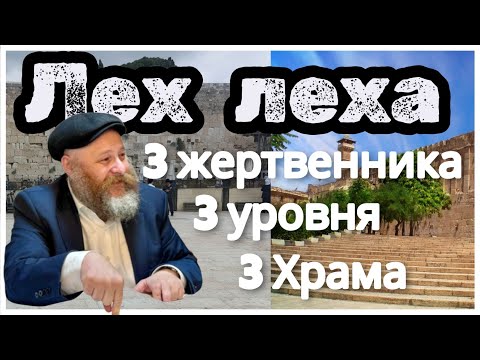 Видео: Лех Леха №2 5786