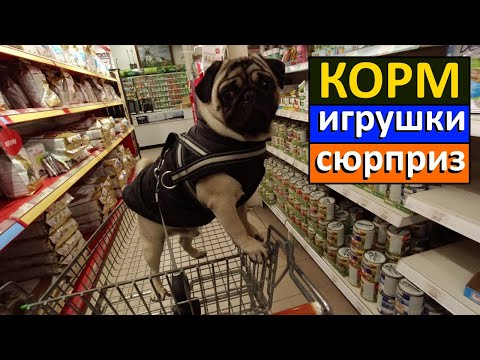 Видео: ХОРОШИЙ КОРМ для собак!!! ИГРУШКИ для собак!!! Мопс собака. ОБЗОР.