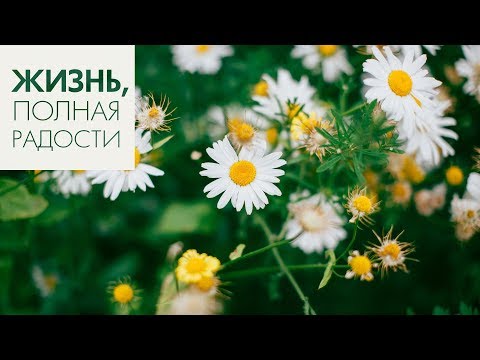 Видео: Джойс Майер: Гордыня и смирение ч. 2