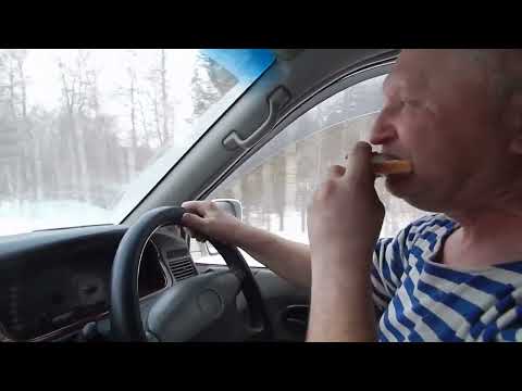 Видео: ЧЕТЫРЕ ПЕРВЫХ ДНЯ  ПУТИ. ДОСТАВКА МАНГАЛИЦ 2021 ГОДА ДО КАРАИДЕЛИ. В ГОСТЯХ У ДАВЫДОВА ВЛАДИМИРА.