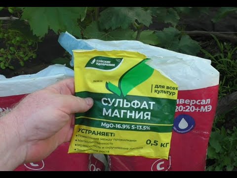 Видео: Интенсивный рост ягод после цветения - что обязательно нужно сделать!