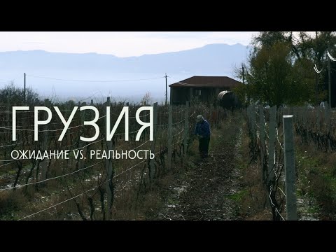 Видео: Грузия: что нас сильно удивило. От Тбилиси до Кахетии и Алазанской долины