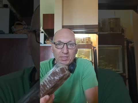 Видео: Хранене с видове артемия.Замразени майки