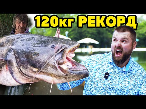 Видео: НОВИНИ!!! СОМ АЛБИНОС - БИЛЕТА ПОСКЪПВА 300%