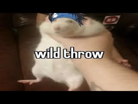 Видео: GGST || Виновные гориллы