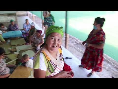 Видео: 03 08 2025 жукакелиу