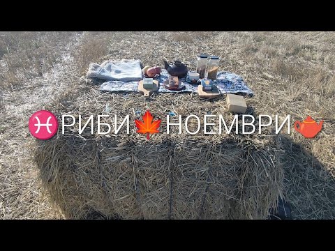 Видео: ♓зодия РИБИ,🍁 месец НОЕМВРИ ,когато Таро срещне слънцето и сламата – магията няма нужда от сценари