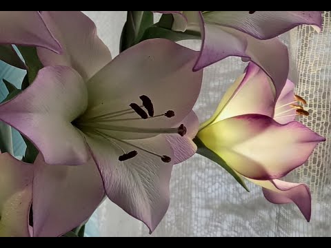 Видео: Оттиск на лепестке лилии без молда? Есть решение!