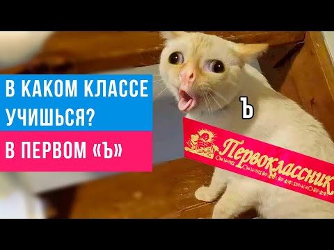 Видео: Приколы. Первоклассник из 1-Ъ ))) | Мемозг #378