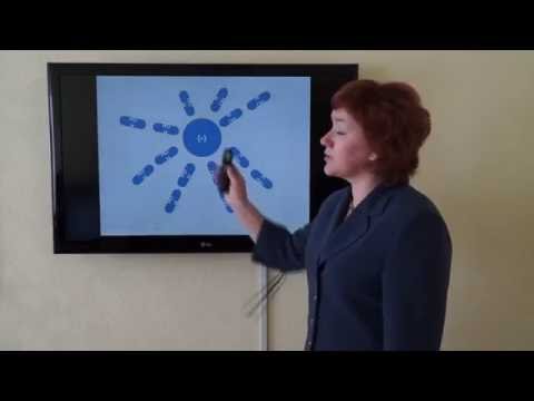 Видео: Кураченко Н.Л. Вода в почве