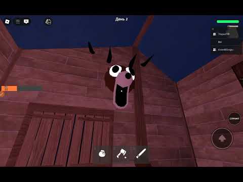 Видео: 9 ноября 2025 г.