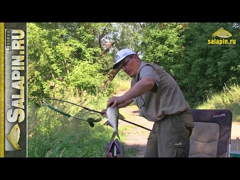 Видео: Трудовая рыбалка на Москва-реке (рыбалка без прикрас) [salapinru]