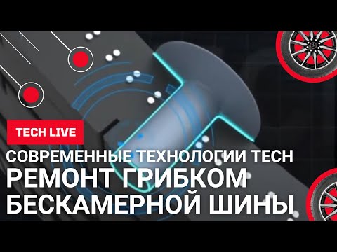 Видео: Ремонт прокола бескамерной шины грибком. Надежно и по всем правилам. На глазах у клиента!