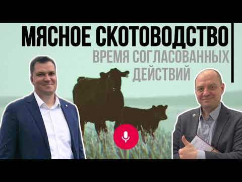 Видео: Мясное скотоводство. Время согласованных действий!