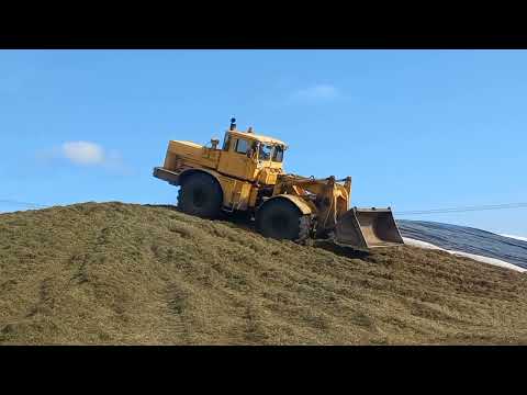 Видео: Заготовка сенажа.