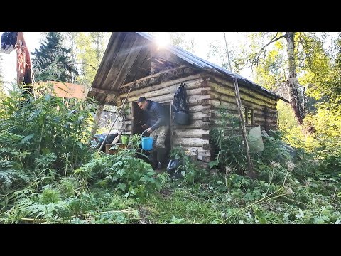 Видео: РЫБАЛКА НА ТАЕЖНОЙ РЕЧКЕ. ЖИЗНЬ ЛЕСНОЙ ИЗБУШКЕ. СОХРАНИЛИ РЫБУ В ЖАРУ.