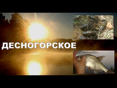 Видео: НА ДЕСНОГОРСКОЕ ВОДОХРАНИЛИЩЕ ЗА РАКАМИ ( ПРИРОДА МЕНЯЕТСЯ )