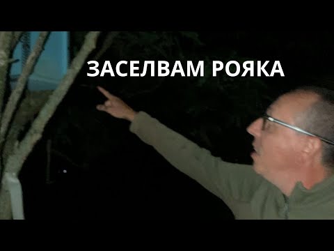 Видео: ЗАСЕЛВАМ РОЯКА